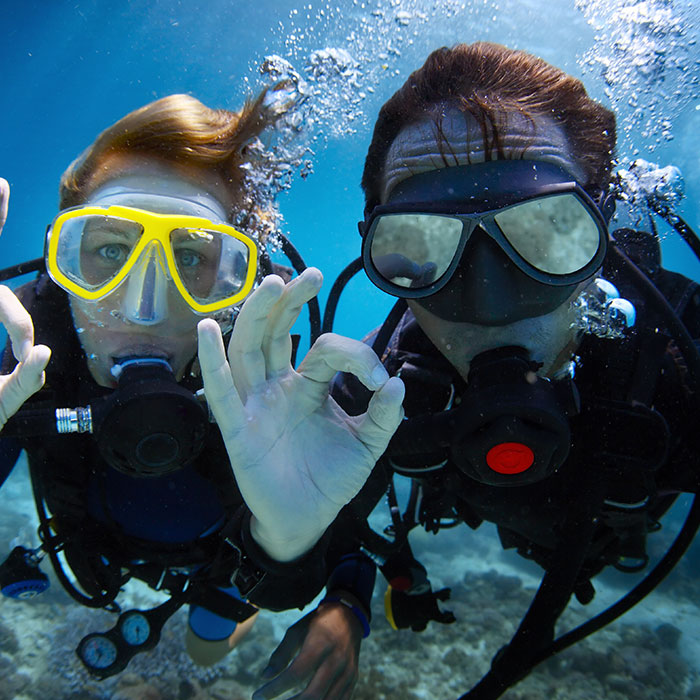 immersioni subacquee ad Albarella
