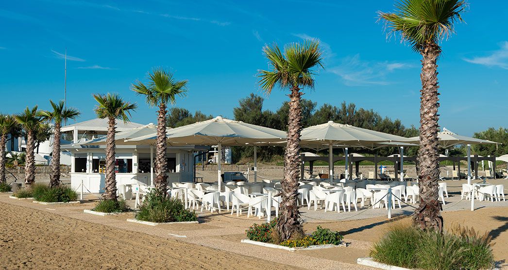 grandi palme vicino al bar sulla spiaggia del centro sportivo