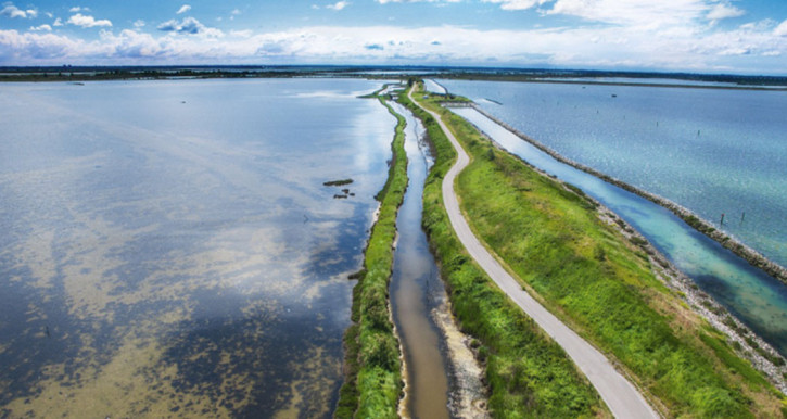 vista del parco naturale delta del po