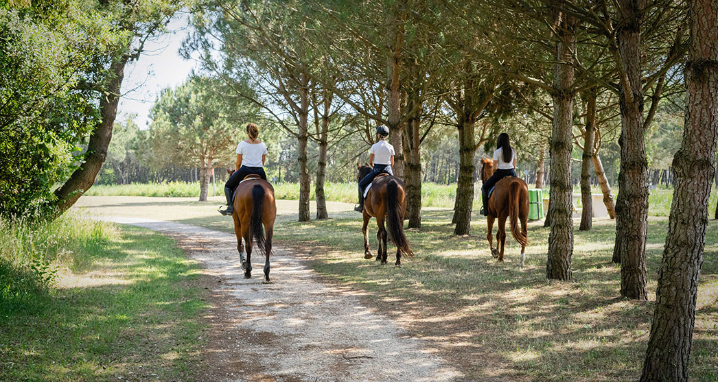 Horse Riding