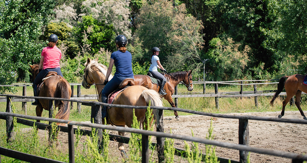 Horse Riding