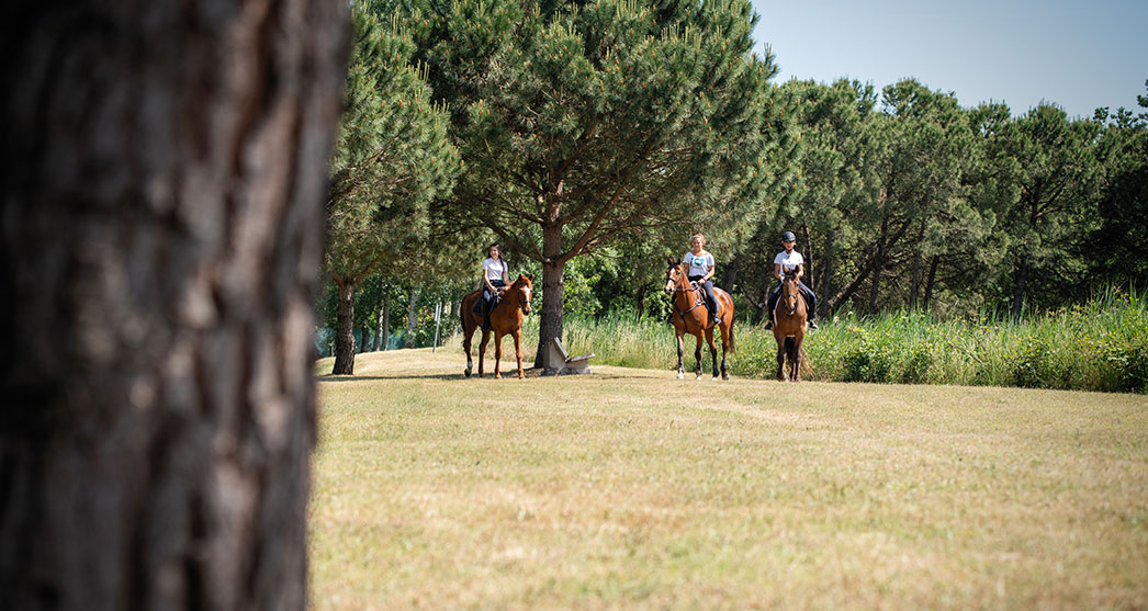 Horse Riding