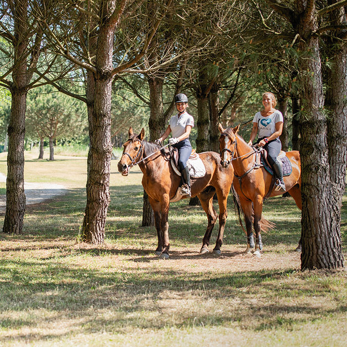 reiten