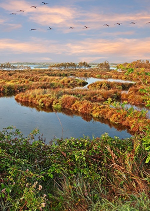 visuale sul delta del po