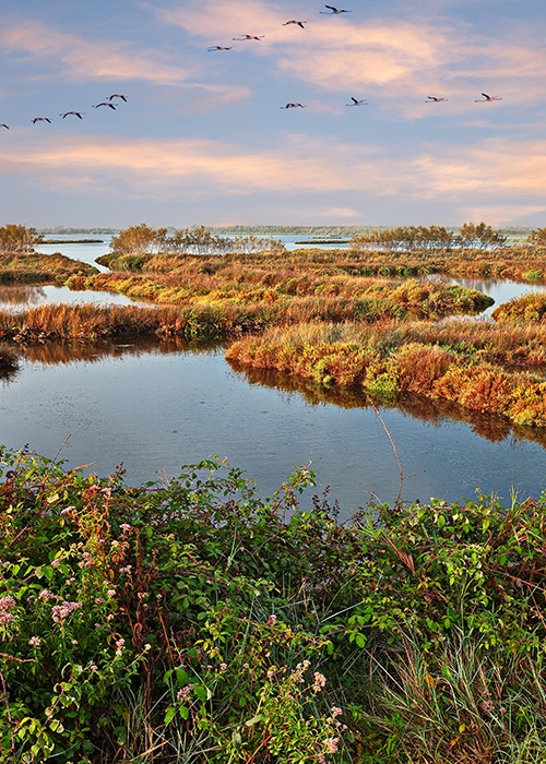 paesaggio del delta del po