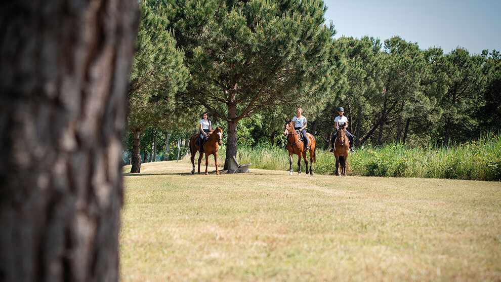 equitazione